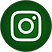 instagram-icon-green.png