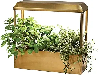 indoor grow light pot for winter gardening