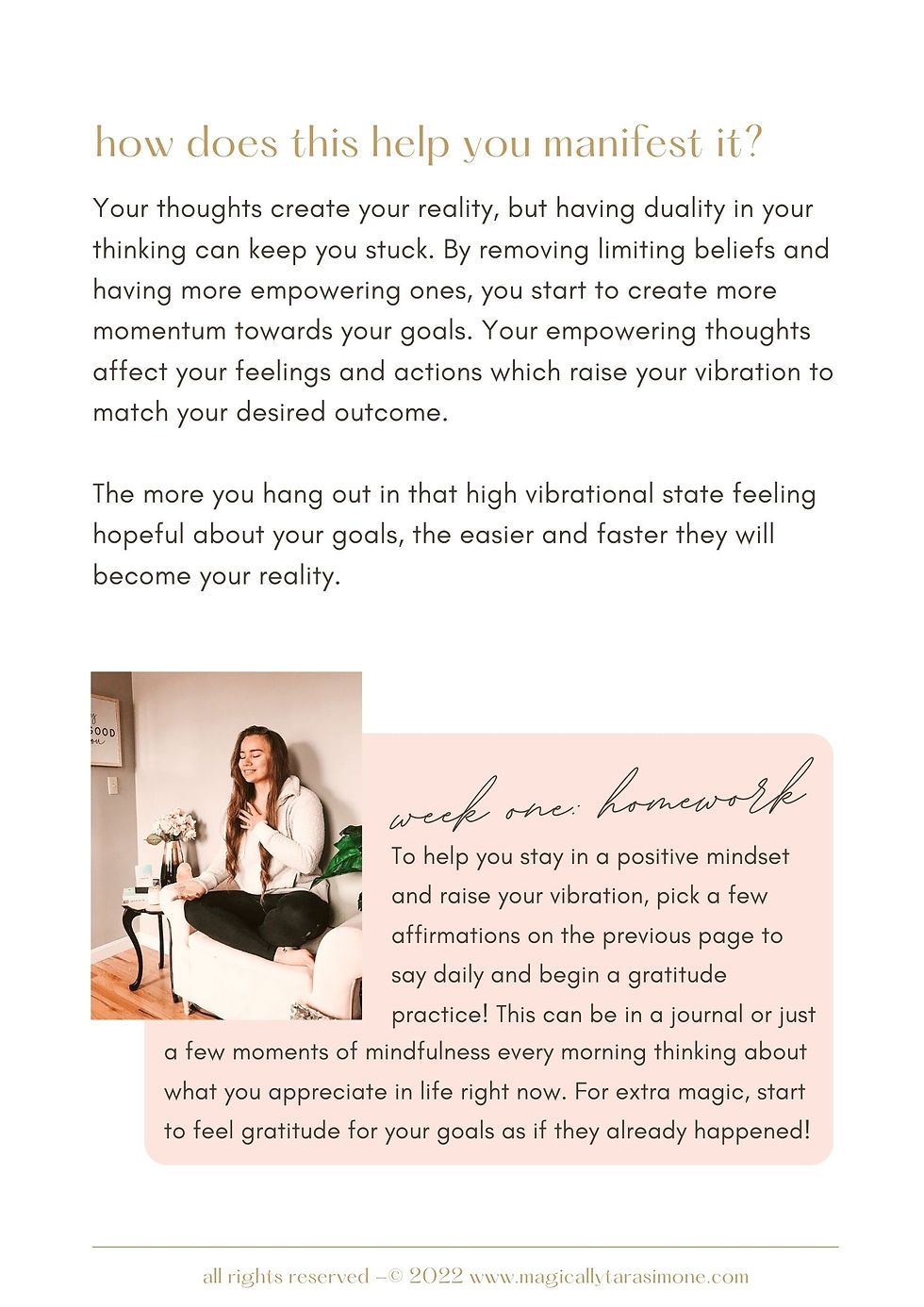 Thumbnail: Manifested It! The Journal