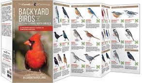 bird watching pamphlet gift idea for nature lovers