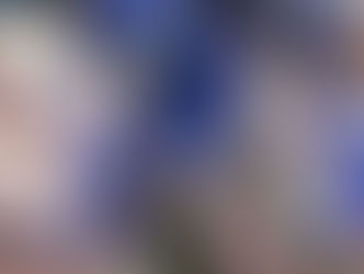 Um escudo no meio de campo