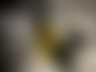 O Negro no Futebol Brasileiro, a série