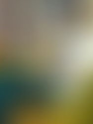 O fio de esperança: mestre Telê