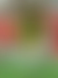 ¡Es pequetito, pero es gigante, Jorge!