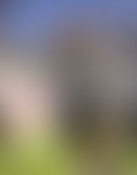 "Ih rapaz, ó lá, tirou o cartão das mãos do Chandia"