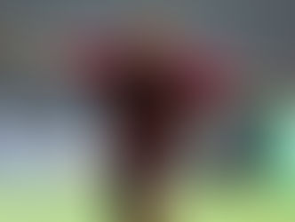 Washington, o Coração Valente