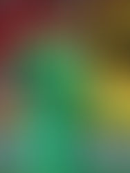 Júlio Cesar, goleiro da seleção brasileira