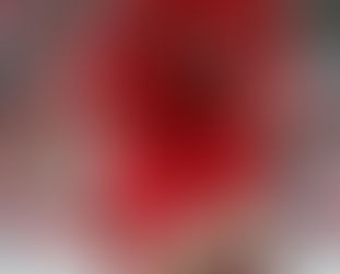 A montanha-russa de Fernando Torres