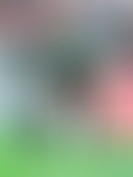 "Se fosse presidente, varria com aquela gente..."