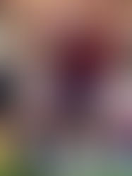 Laudrup: "Faminto na frente de um prato de comida"