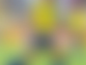 Ele era fã de um palhaço