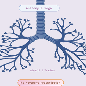 Yoga Breathing Reduces Stress & Improves Lung Functioning