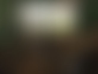 DESGRAÇA DE MORO, PRISÃO DE DANIEL SILVEIRA E OUTRAS FALSAS VITÓRIAS.