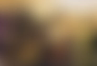 EXALTADOS ONTEM E HOJE