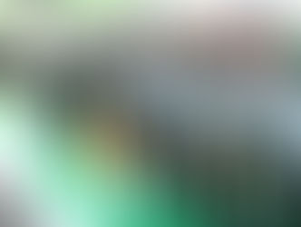 A ESCOLA MILITAR É PURA IDEOLOGIA