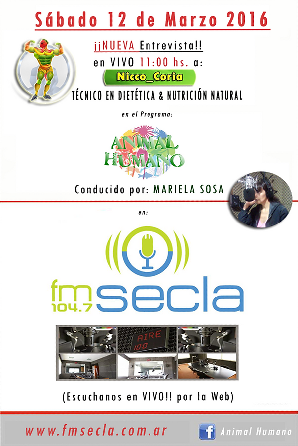 Modelo HYSTORY FMSECLA Modificado INSTA 2022 Parado.png