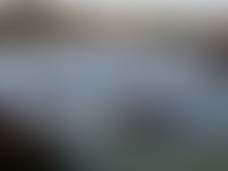 Blue Whale Skeleton Raised From Yaquina Bay