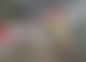 Hwy 101 Open South Of Yachats