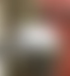 Deputies Care For Animals In The Evacuation Zone