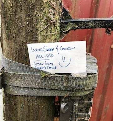 Deputies Care For Animals In The Evacuation Zone