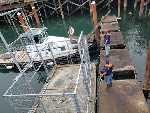Port Assists With Sealion Isolation Cage