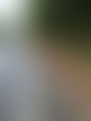 Driver Arrested For Manslaughter After Fatal Crash