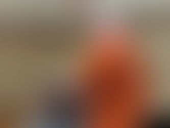 Bauman Pleads To Manslaughter Gets 11-years