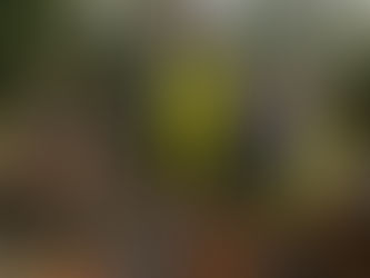 Watershed Council Coordinator Awarded