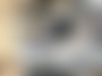 Aquarium Mourns The Loss Of Max The Sealion