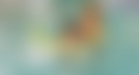 Adaptive Swim Lessons For Students