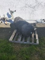 Space Debris Washes Ashore At Alsea Bay