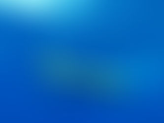 Underwater Robotic Gliders