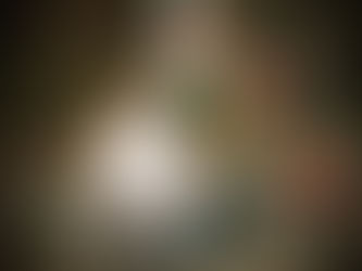 Art Revitalization In Toledo