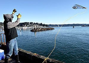 Two Cited For Crabbing Violations