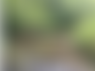 Mid Coast Watershed Restoration Work