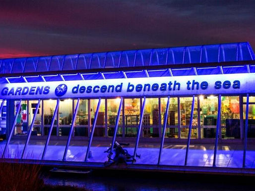 Popular Attraction Undersea Gardens To Close