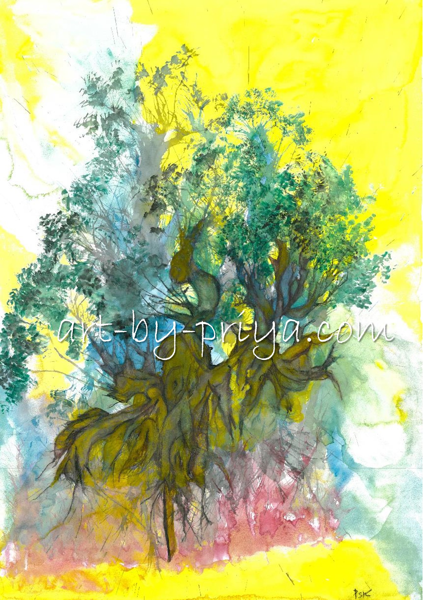 ROOTED WTRCOLO17