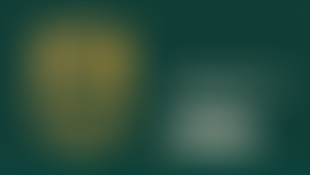 Foundations of Six Sigma: Philosophy, Techniques, and Goals