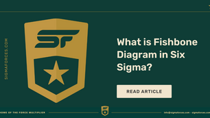 What is Fishbone Diagram in Six Sigma