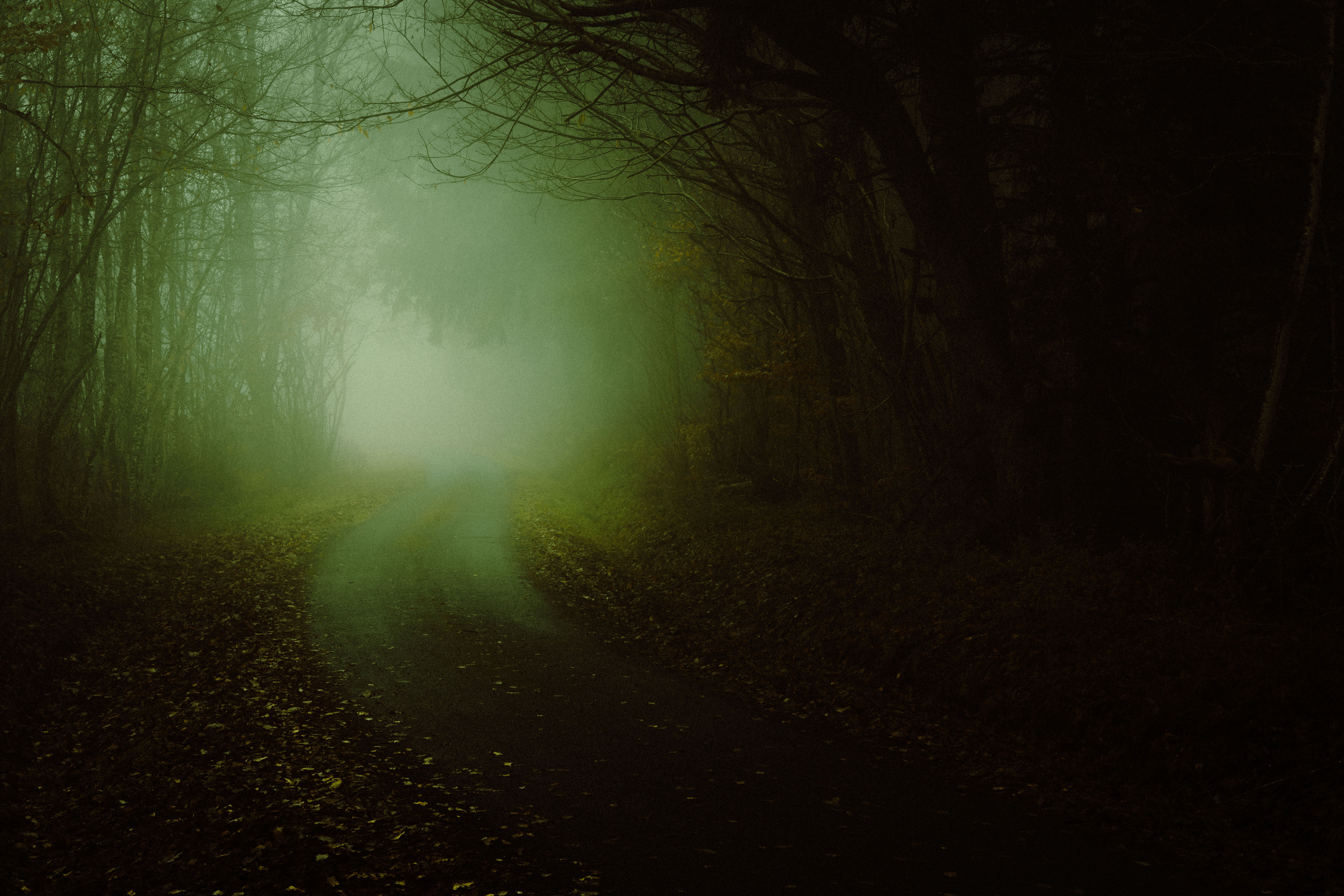 photo de la série Les brumes de l'étrange