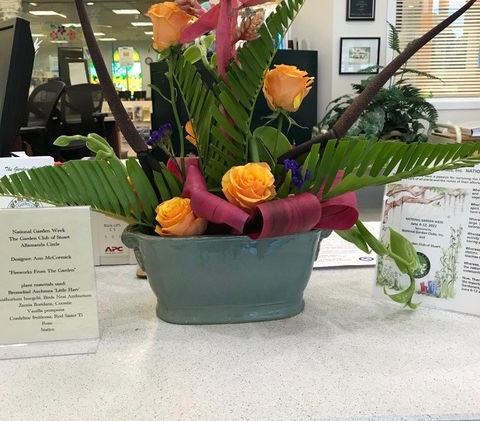 image6.jpeg