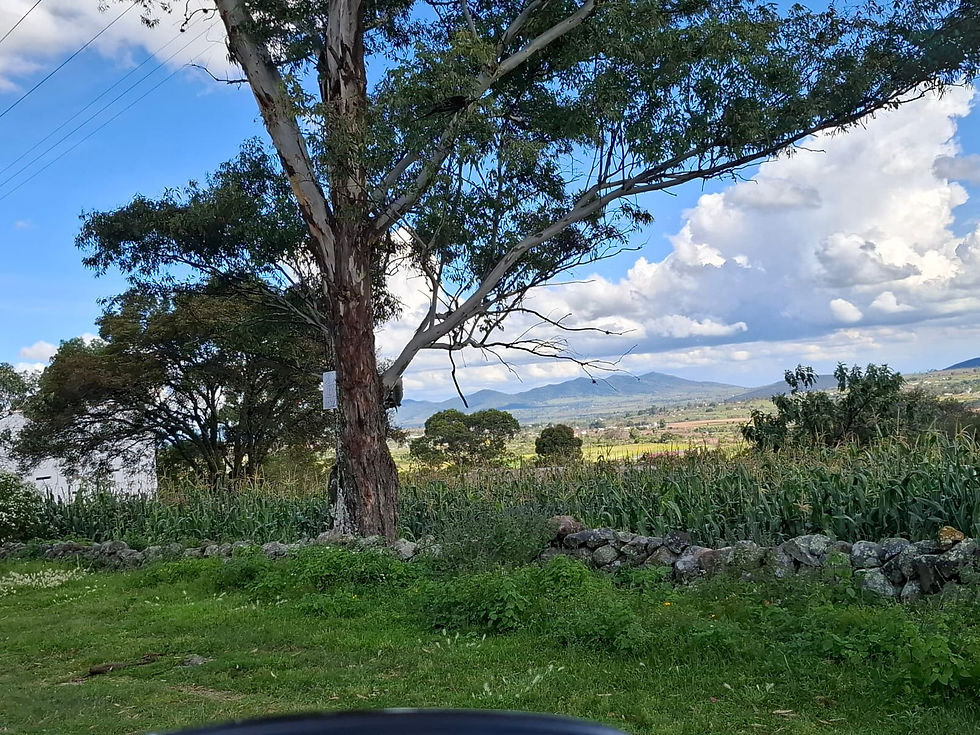 Miniatura: CASA DE DESCANSO EN VENTA EN MANGI, HIDALGO
