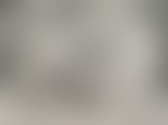 realistic graphite drawing of a tiger cub