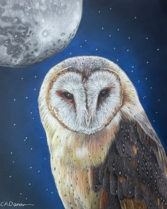 A coloured pencil drawing of a barn owl with the moon