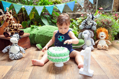 Ensaio fotográfico de bebê de 1 aninho e Smash the Cake