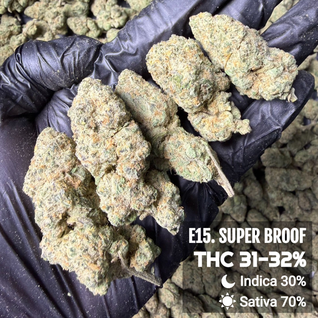 E15. 超级布鲁夫