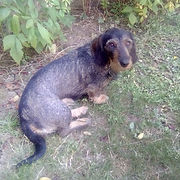 image0000001 3_edited.jpg