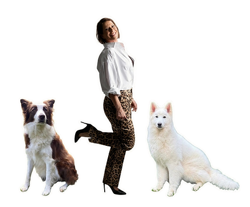 pets petropolis kelly domingues influencer petshop rj.png
