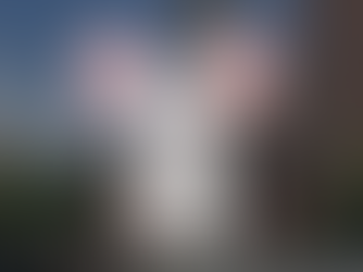 Return of the Church Mouse Program