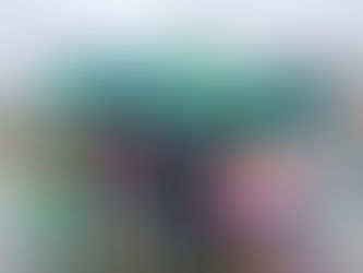 Thank you Day of Discipleship Volunteers!